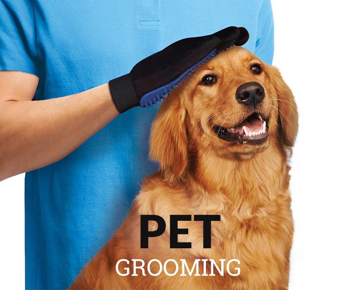 Pet Grooming & Accessories Pet Grooming & Accessories