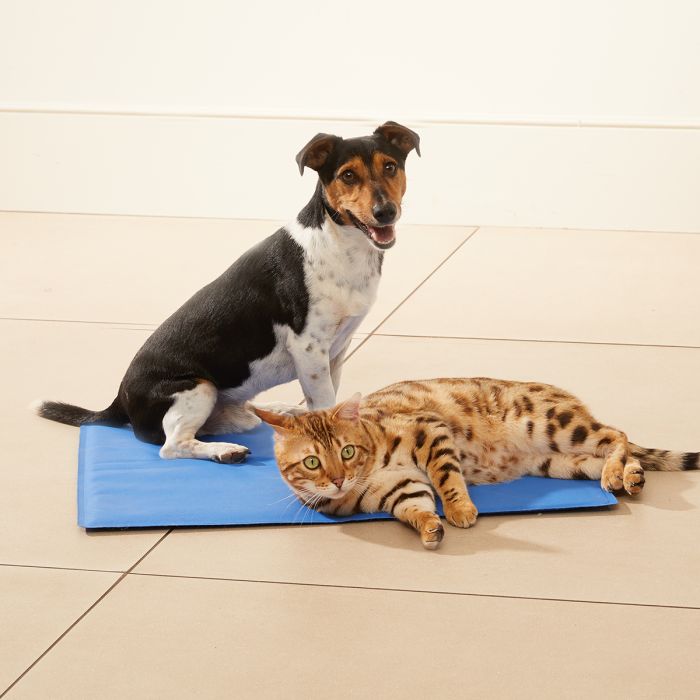 jml cooling mat