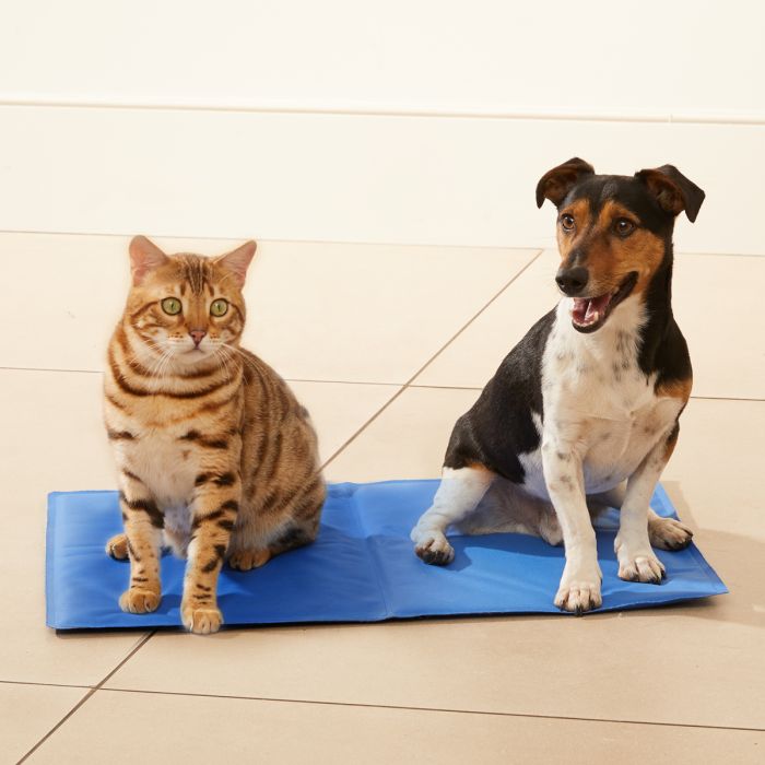 DOG CAT for Car or Home Waterproof Wipe Clean Pet Mat 