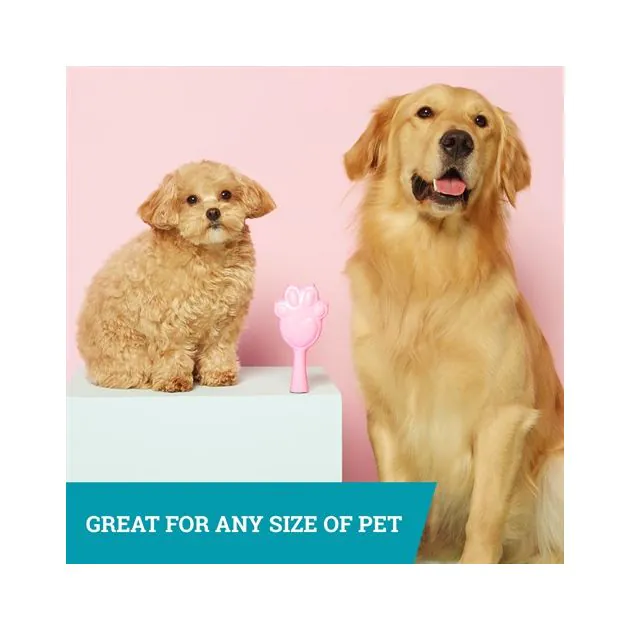 Pet clearance angel brush