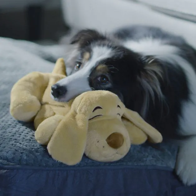 Heartbeat comforter for puppy cheap