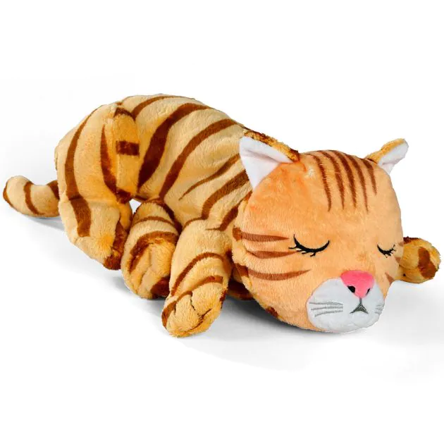 Jml 2025 cat toy