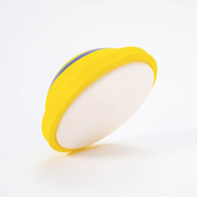 Indoor gliding squeaky dog toy shop