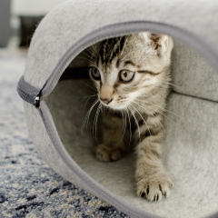 Jml cats meow on sale
